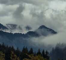 In the Clouds by Don Schwartz