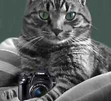 <º))))>< IV GOT THE CAMERA~ I GOT THE POSE~ TAKE MY PICTURE ~YOU'LL REMEMBER THE MOST <º))))>< by ✿✿ Bonita ✿✿ ђєℓℓσ