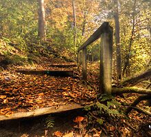 As Fall Ends... || Winter Beckons... by Anir Pandit