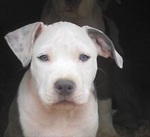 Do I Look Like A Ghost? by Ginny York