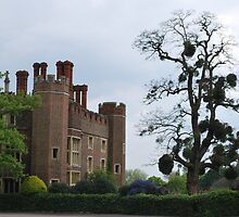 Hampton Court by Helen Greenwood