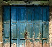 Old China Door by naphotos