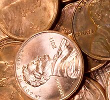 US Penny Coin Background by Diana Beato