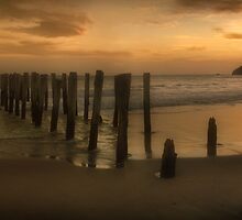 Stop Me If You’ve Seen This Before by Peter Kurdulija