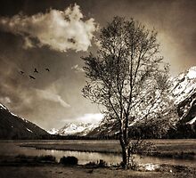 Some Things Will Be OK by mcornelius