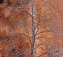 Red Rock Autumn by photojeanic