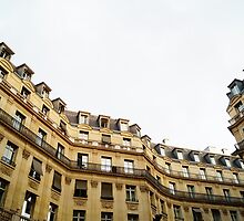 typical building hausmannian style in Paris, France by hpostant