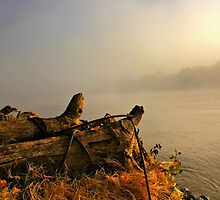Breaking Through the Fog by Barbara Brown