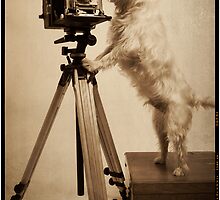 Vintage Pho Dog Grapher by Edward Fielding