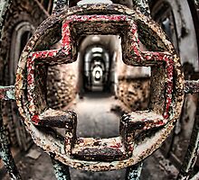 Without Salvation by Andrew Paranavitana