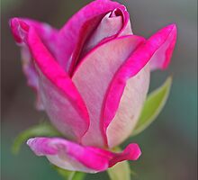 A Series On Hidden Treasure by Chet King