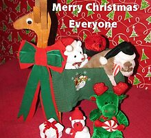 Holiday Hangover by Ginny York