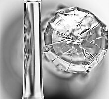 Bubbles II by Bob Daalder