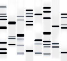 DNA Art Black on White by Michael Tompsett