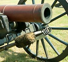 Civil War Canon by Junec