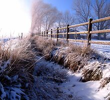 A Dusting of Snow In Our Irrigation Ditch by trueblvr
