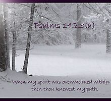 Thou knewest my path by aprilann