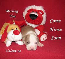 Come Home Soon by Ginny York