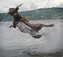 Jumping for Joy by Deanna Maxwell