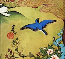 Bluebird by Carrie Jackson