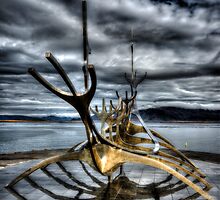 S U N V O Y A G E R by Andrew Dickman