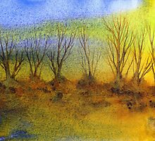 A New Beginning by Jacki Stokes