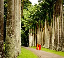 buddhist paradise by Brooke Reynolds