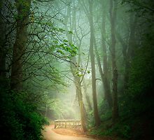 Along the Path by Svetlana Sewell