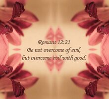 Overcome Evil With Good by aprilann