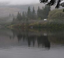 the best wee green hoose in the world by joak
