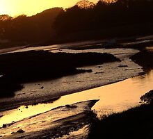 Down By The Water - II by mobydoc