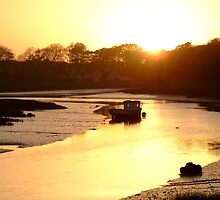 Down By The Water - III by mobydoc