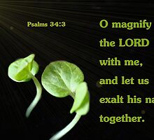 Let Us Exalt His Name Together by aprilann
