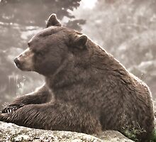 Beautiful Dreamer by Karen Peron