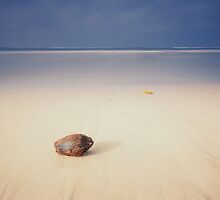 Coconut on the beach by naumenko