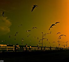 Happiness is...you appreciate surrounding... by Kornrawiee