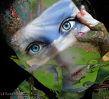 mine eyes have seen the glory by David Kessler