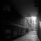 Wheelie Bin Alley by axp7884
