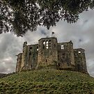 Warkworth Castle by axp7884