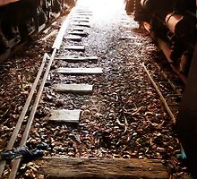 In the Sidings by PictureNZ