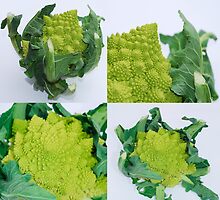 Green Romanescos by jojobob