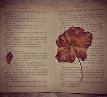 Words And Reality by LlandellaCauser