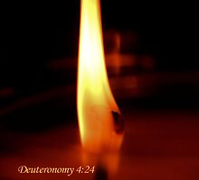 Consuming Fire by aprilann