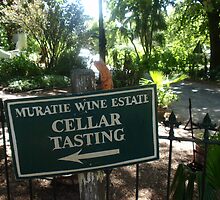 Cellar Tasting by Vanessa Jayne Thomas