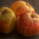 HDR Apples by axp7884
