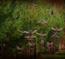 Turkeys. by Ginger Barritt