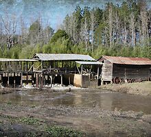 Sciples Mill by Ginger Barritt