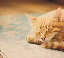 Little Red Kitten Sleeping On Bed by GrishkaBruev
