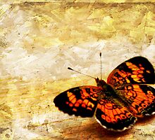 Just a Flutterby.... by Ginger Barritt