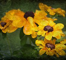 Sunflowers by Ginger Barritt
